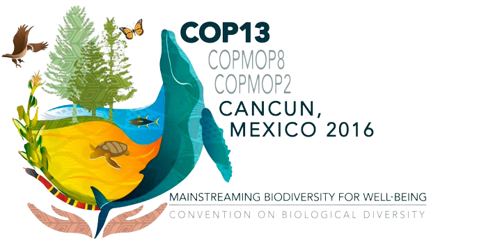 COP13